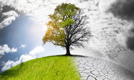 CAMBIAMENTO CLIMATICO, MIGRAZIONI E TRANSIZIONE ECOLOGICA