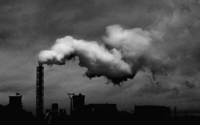 Transizione ecologica ed imprese energivore